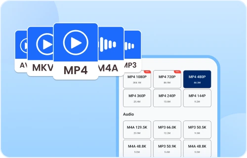 Flexible Format and Resolution Options